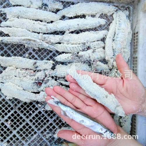 全自动小银鱼裹糠机 海产品鱼虾专用挂浆裹糠设备 送货上门