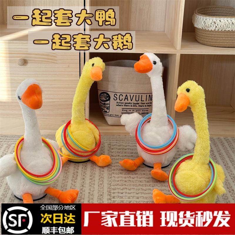 套不中鸭套大鹅摆地摊婚礼套圈圈