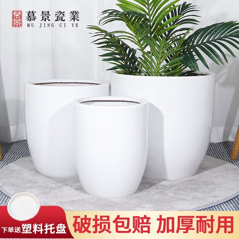 陶瓷花盆落地特大号白色大口径绿植盆器轻奢高级感发财种树天堂鸟