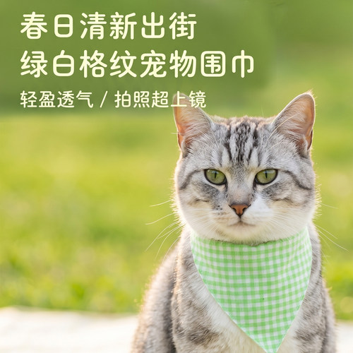 清新绿格纹宠物三角巾 猫咪狗狗通用可调节按扣款 防脏口水巾围脖