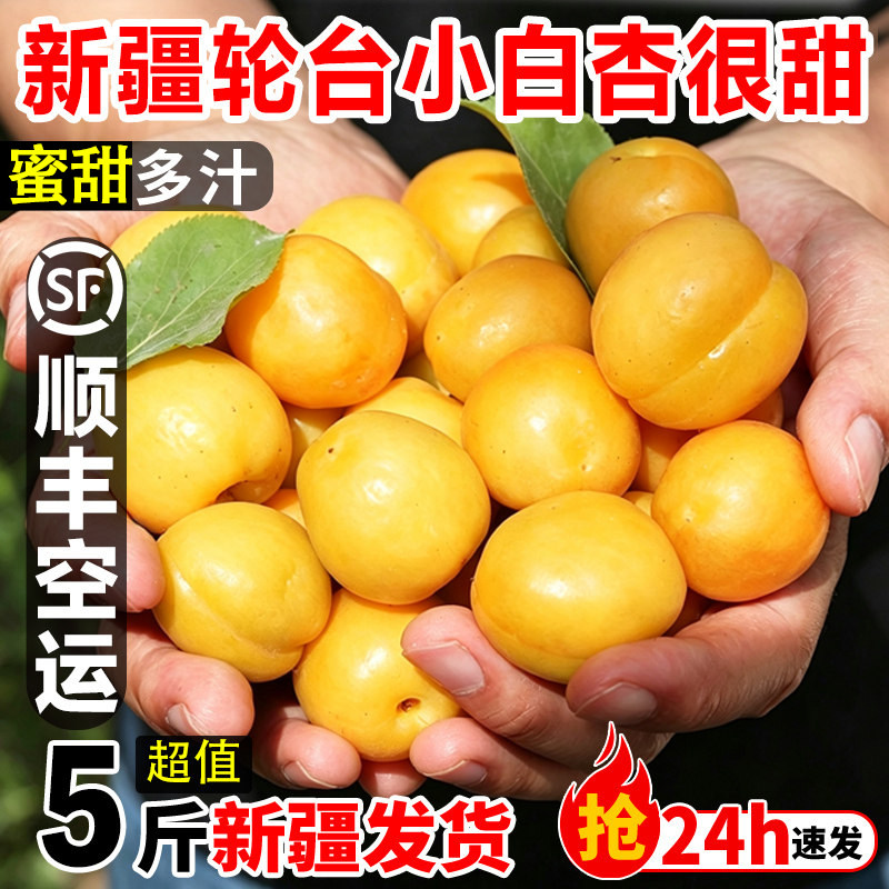 新疆小白杏轮台新鲜水果库车白杏子甜杏特产当季整箱胜小红杏顺丰
