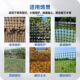 养鸡塑料网格围栏网拦鸡网家用玉米养殖网鱼塘防护网围栏栅栏户外