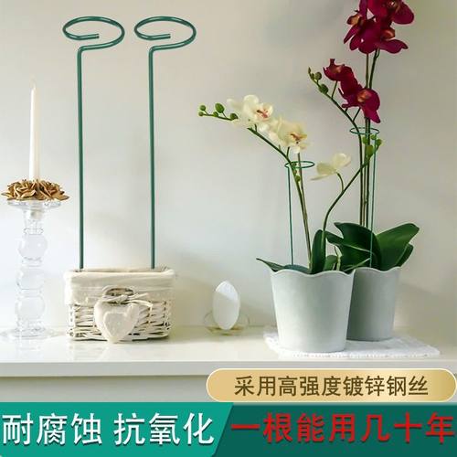 植物防倒伏支架铁艺吊兰支撑杆