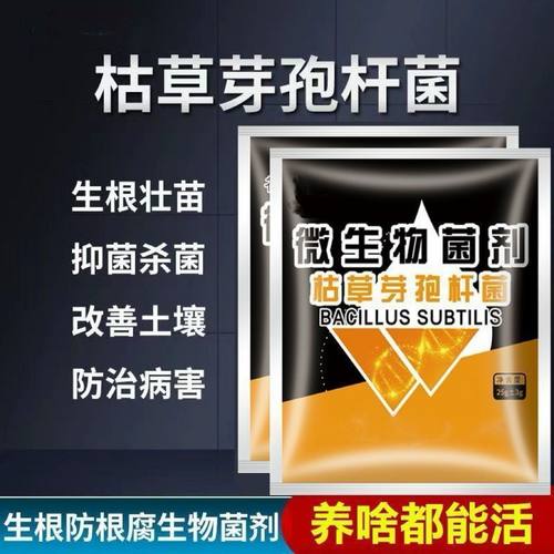 枯草芽孢杆菌预防改量营养土