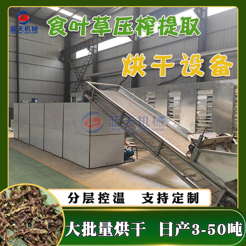 网带式食叶草烘干机 食叶草蛋白草压榨提取烘干设备 长寿草干燥机