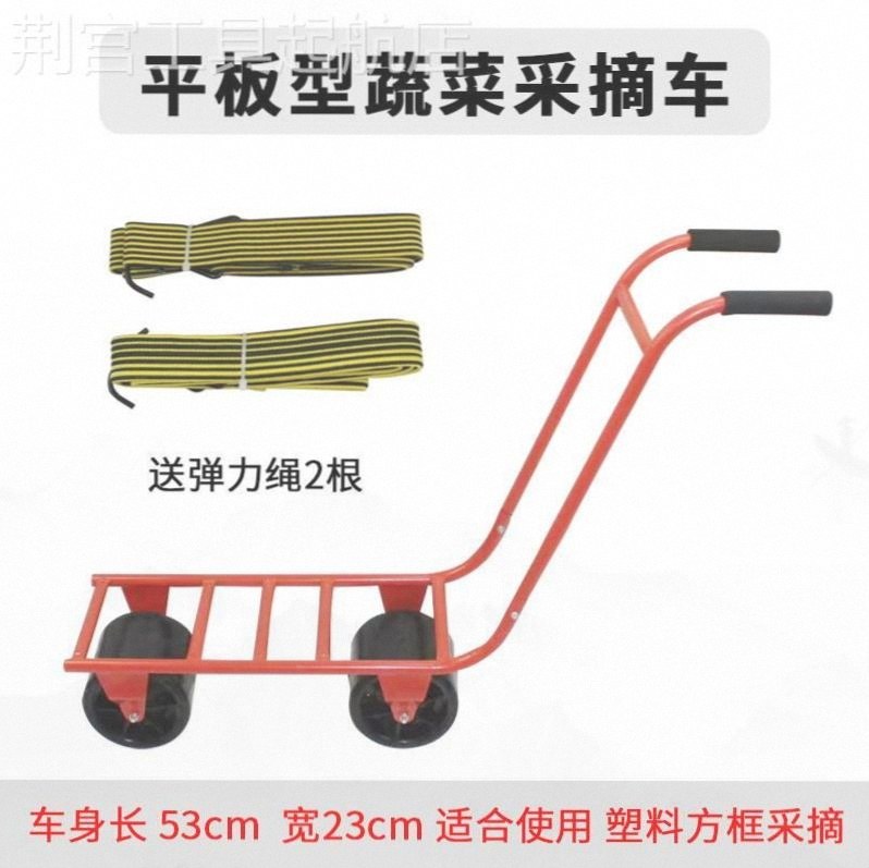 移动采车双桶大蔬菜瓜果黄瓜西红柿运输手推懒汉人车采棚摘工拉摘