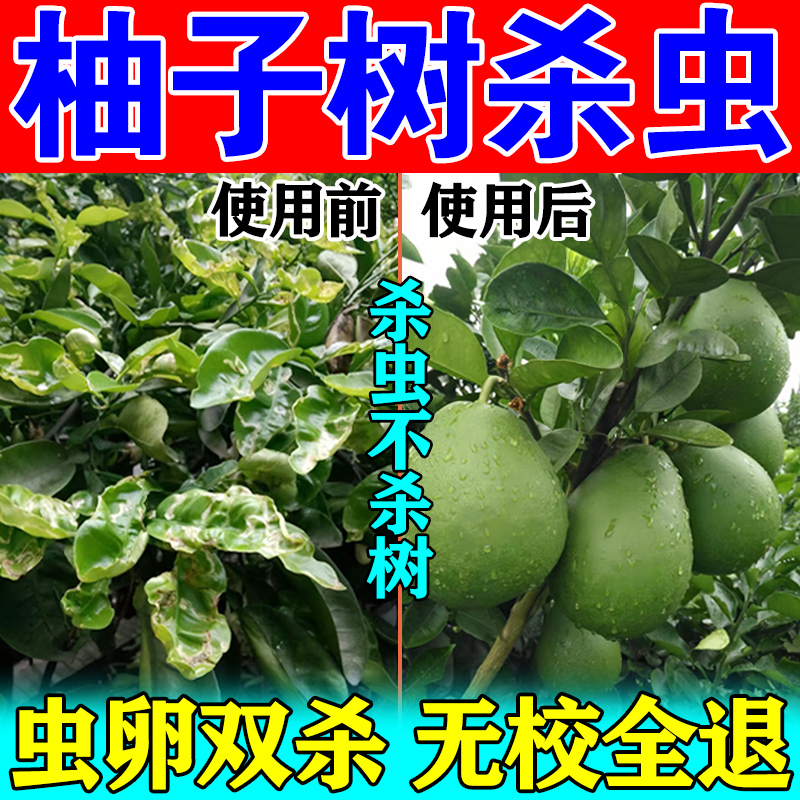 柚子树杀虫剂橘子桔子树花卉植物