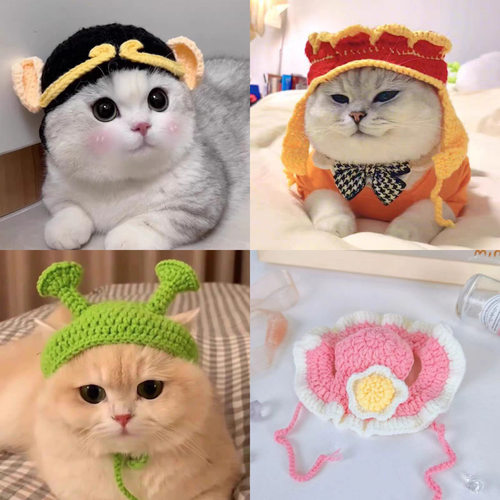 宠物头套猫咪幼犬小狗变装编织帽子搞笑可爱头饰道具毛线比熊泰迪