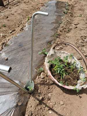 新款移苗栽苗神器加厚带脚蹬多功能种西瓜豆角番茄土豆辣椒苗神器