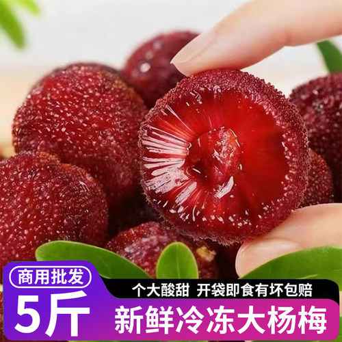 杨梅鲜果速冻仙居杨梅泡酒专用冰杨梅袋装杨梅5斤特产孕妇水果