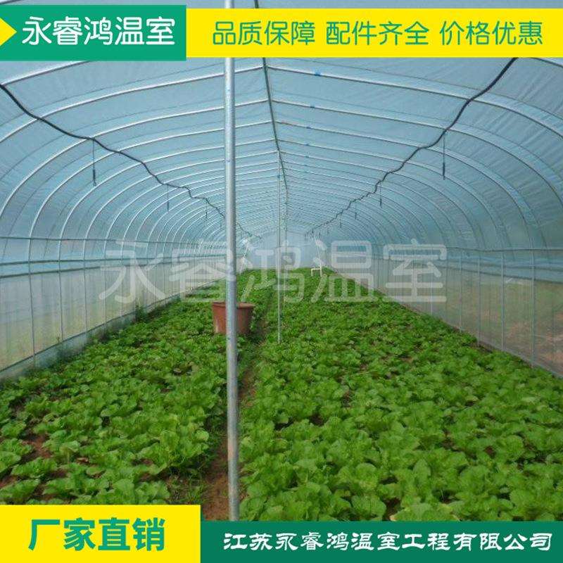 新品塑料薄膜连栋玻璃温室连体大棚钢架大棚温室大棚