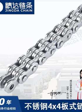 不锈钢304 316板式链条 LH1044 LH1244 LH1644高承载提升机链条