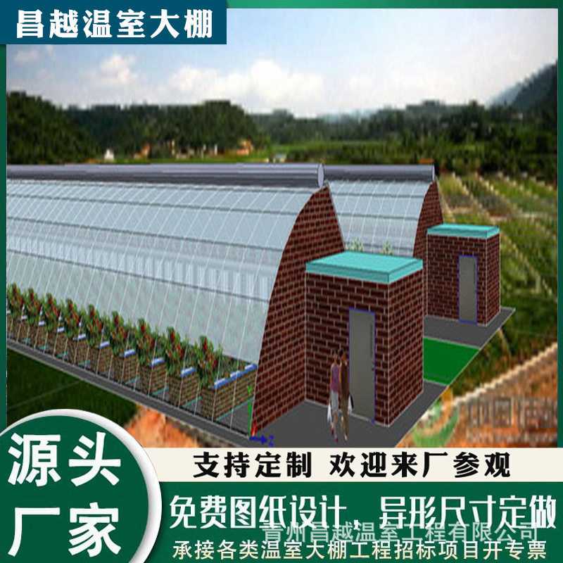 简单实用冬暖式日光温室大棚菊花花卉种植育苗基地专业生产厂家