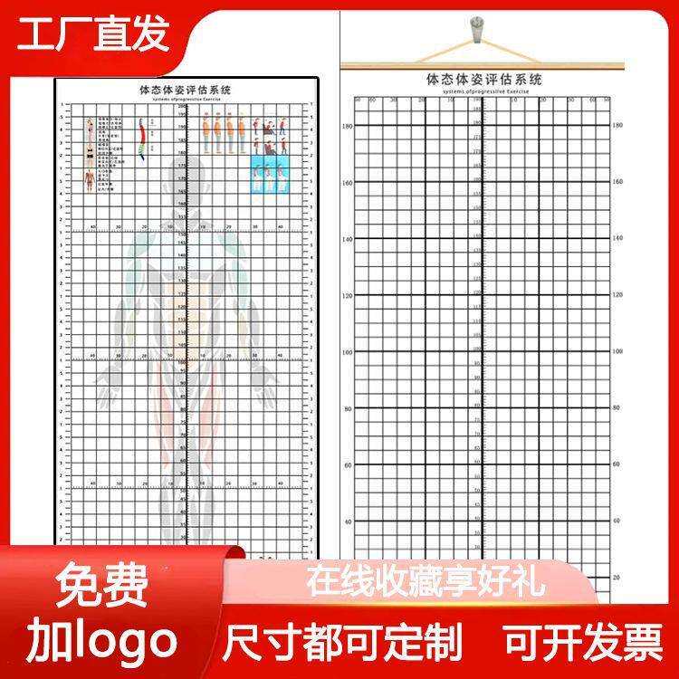 现货体态评估表瑜伽健身私教体位姿势体测表身体评估表挂式网格