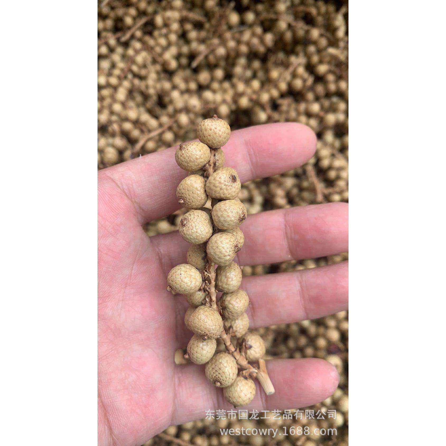 国外串果珍珠果香包材料串串果干花香包干花天然植物