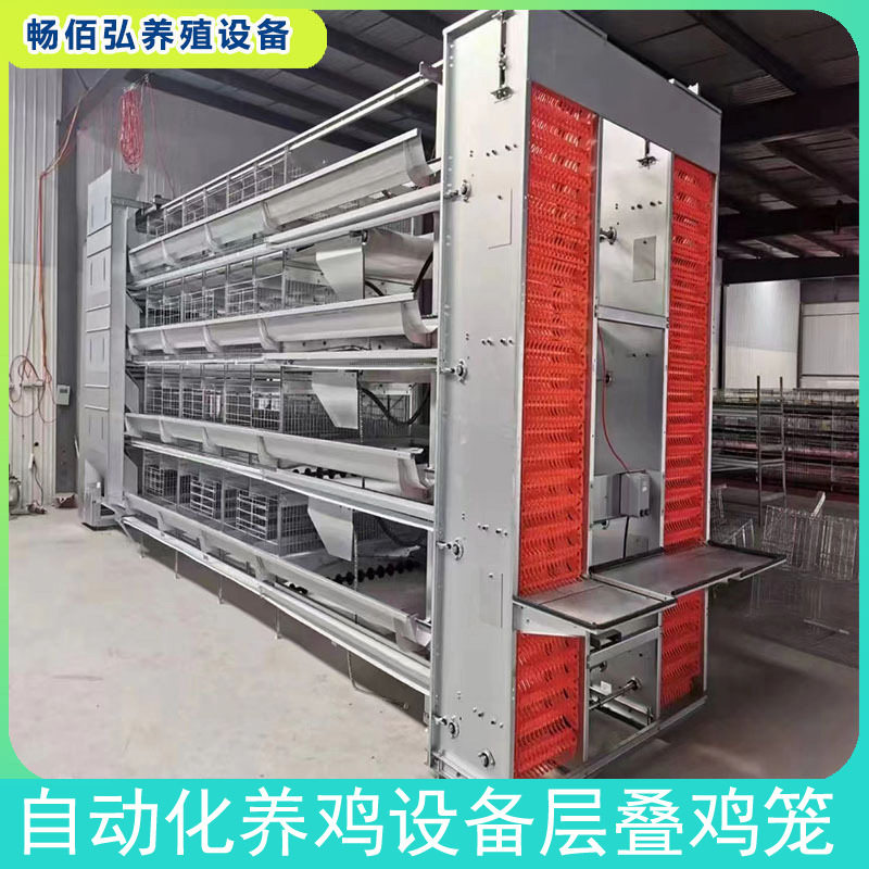 大层叠养殖设备蛋鸡自动化笼具热镀锌蛋鸡笼肉鸡笼子