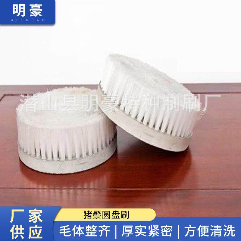 猪鬃圆盘刷扫路车圆盘刷小圆盘刷洗地圆盘刷