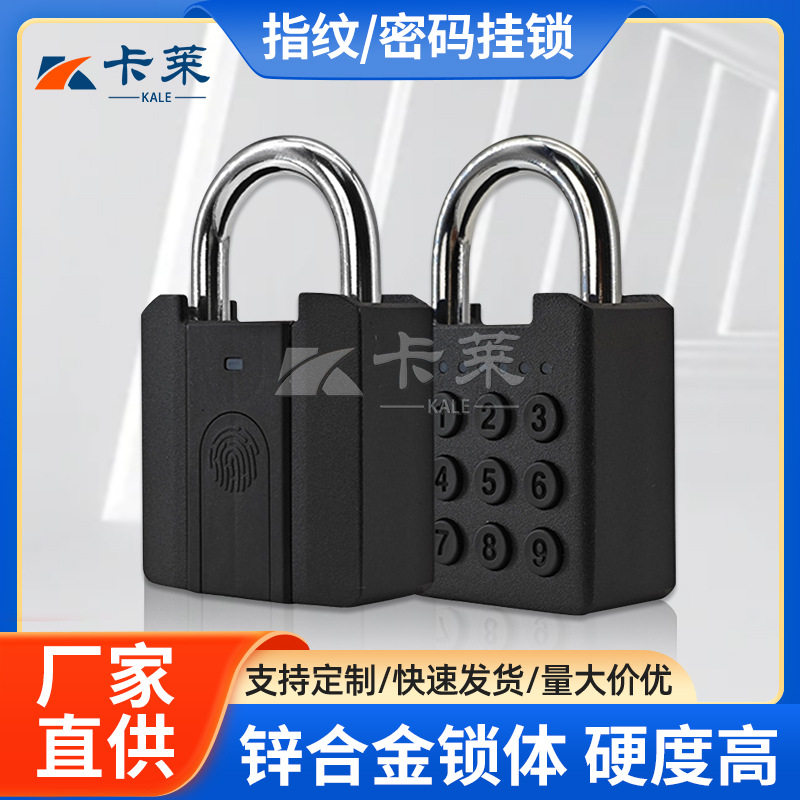 跨境智能指纹挂锁锌合金密码挂锁带机械钥匙锁具生产厂家直销