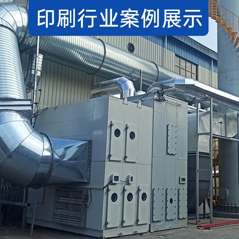 RAIDCO化燃烧业理废气工处喷漆房活催性炭吸附脱附+CO高效净化