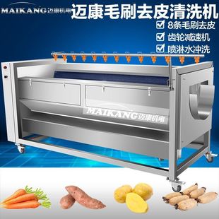 全自动蔬菜去皮机 厂家生产红薯清洗机尺寸可做栗子清洗机