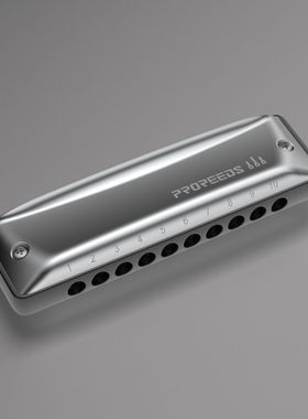 ProReeds十孔口琴10孔布鲁斯初学成人蓝网BM Boogieman园园同款