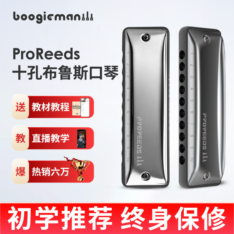 ProReeds十孔口琴10孔布鲁斯初学成人蓝网BM Boogieman园园同款