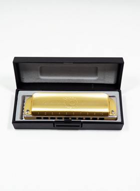 十周年口琴10孔初学十孔布鲁斯蓝调蓝网旗舰店金属PADDY园园同款