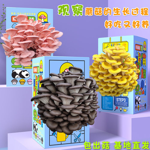 蘑菇种植菌包科学小实验室内学校家庭种植食用菌盆栽儿童益智玩具