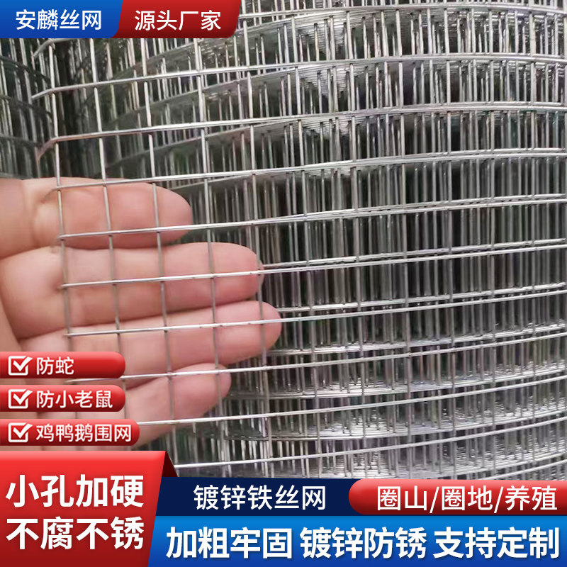 防锈热镀锌钢丝网拦鸡网