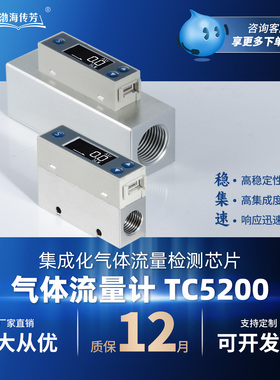 气体质量流量计TC5200数显高精度热式质量表TC5218微小气体流量表