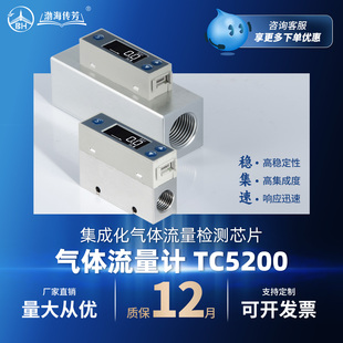气体质量流量计TC5200数显高精度热式质量表TC5218微小气体流量表