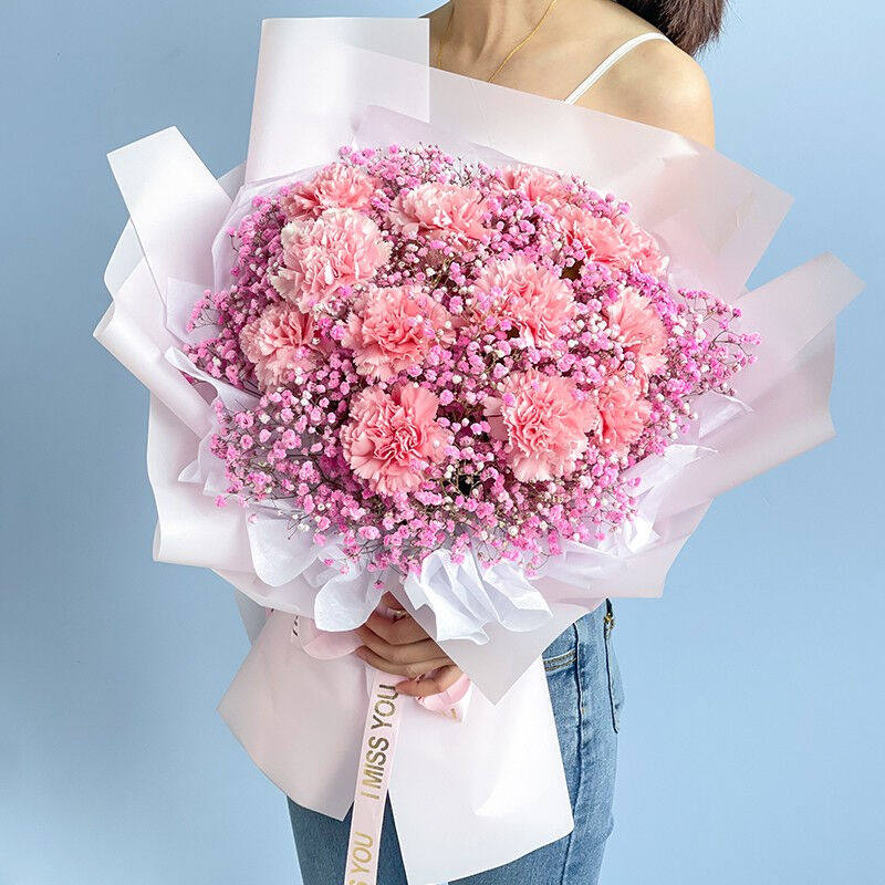 梦馨鲜花速递11朵红色康乃馨花束送老婆长辈生日礼物全国同城配送