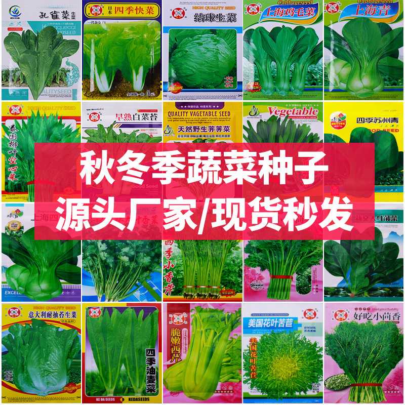 四季春夏秋季蔬菜种子瓜果种籽阳台盆栽农田菜园秋冬蔬菜种子大全