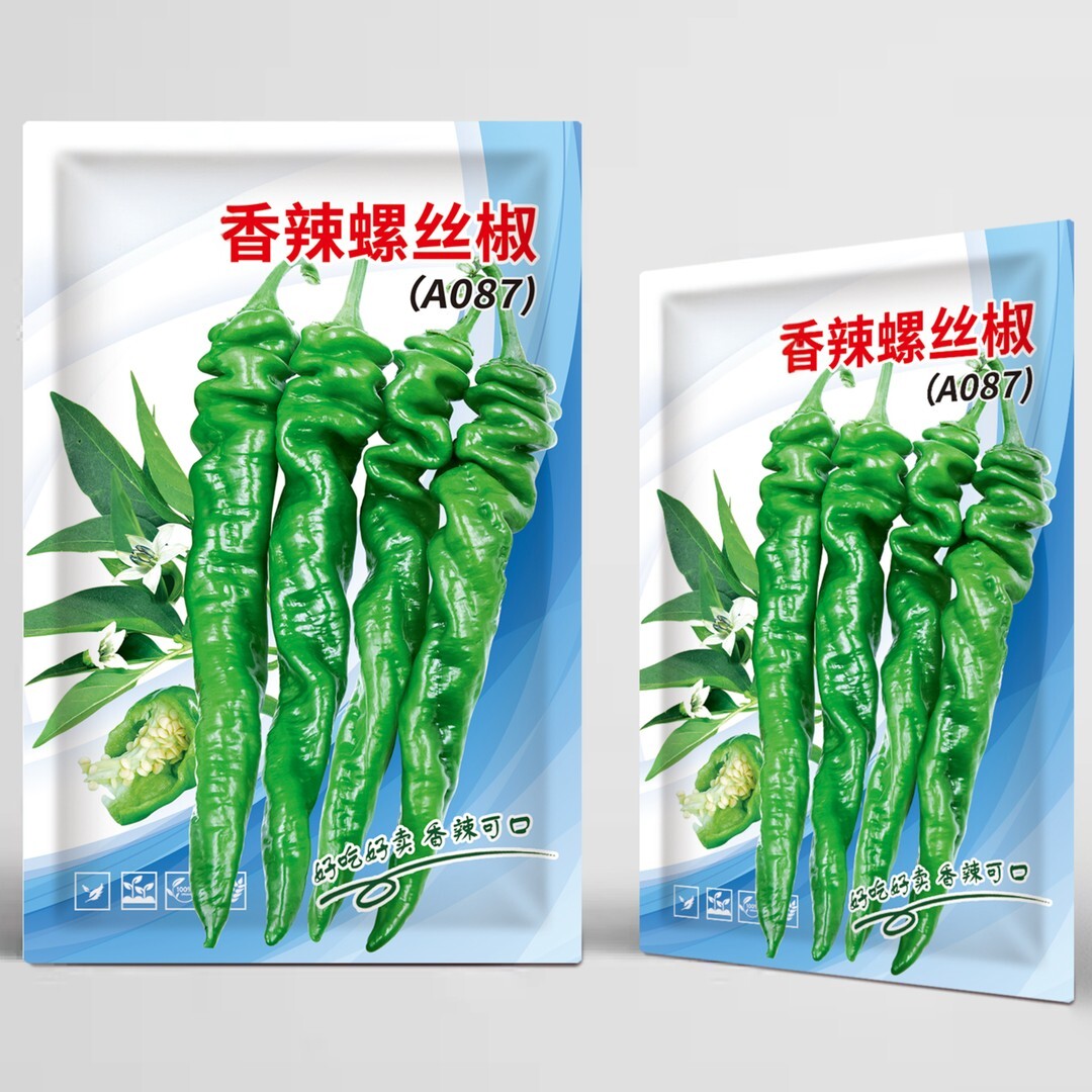 香辣螺丝辣椒种子薄皮青椒青螺丝椒种籽四季种盆栽青辣椒种子大全