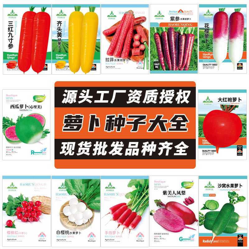 萝卜种子大全秋季沙窝冰糖脆凤梨四季樱桃水果罗卜胡萝卜种籽种子