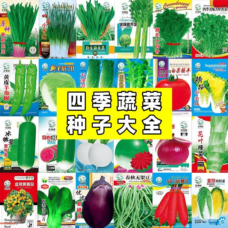 四季蔬菜种子大全春夏秋季香菜小葱菠菜阳台盆栽农田菜园蔬菜种子