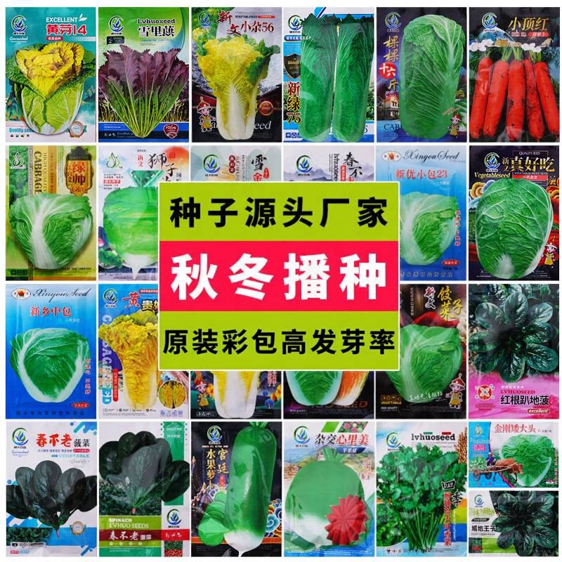 萝卜白菜黄心菜秋冬蔬菜种子大全菜园盆栽秋冬播种冬季耐寒菜籽种