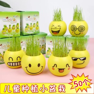 小学生创意奖品实用植物表情盆栽儿童生日幼儿园分享全班小礼物