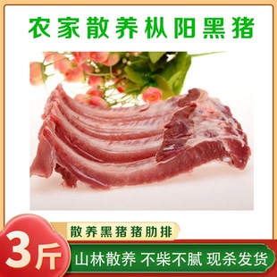 安徽安庆枞阳特产新鲜农家放养黑猪肋排猪排仔排骨猪肉现杀现发
