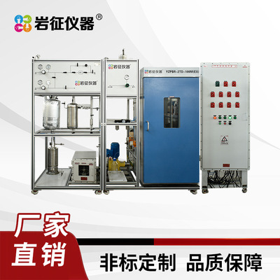 丁烯连续反应装置 连续反应釜 高压反应釜 岩征仪器 厂家直营