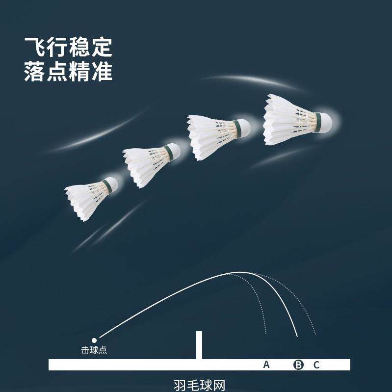 防风羽毛球专业训练超耐打羽毛球耐打王打不烂鹅毛12只IVH1