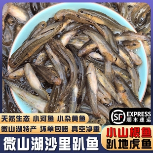 顺丰微山湖新鲜山根鱼沙里趴地虎沙丁子石坑鱼小黄鱼油炸小河杂鱼