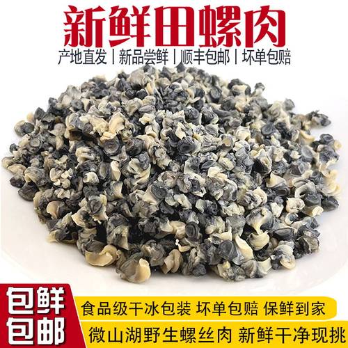 2斤装新鲜田螺螺蛳粉专用商用