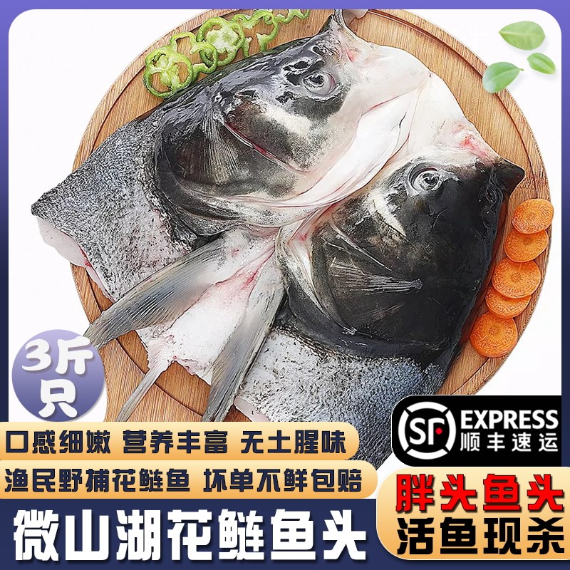 微山湖胖头鱼新鲜花鲢鱼鱼头顺丰图片