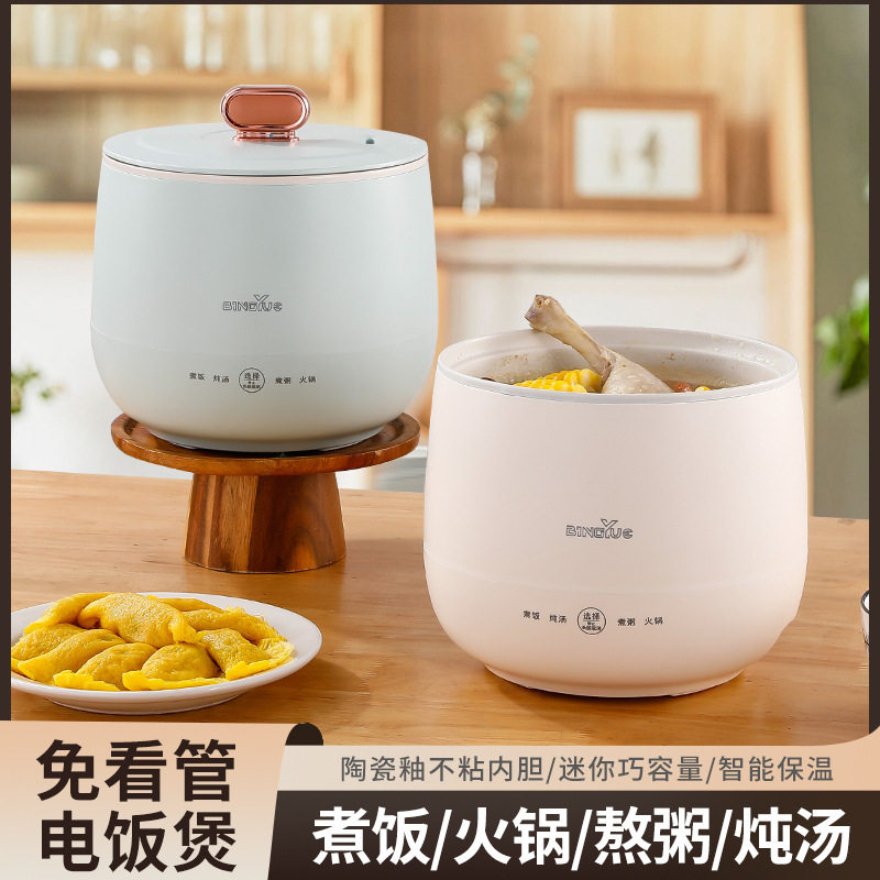 多功能电煮锅电饭煲煮粥电炖锅养生煲小饭锅北美台湾110V