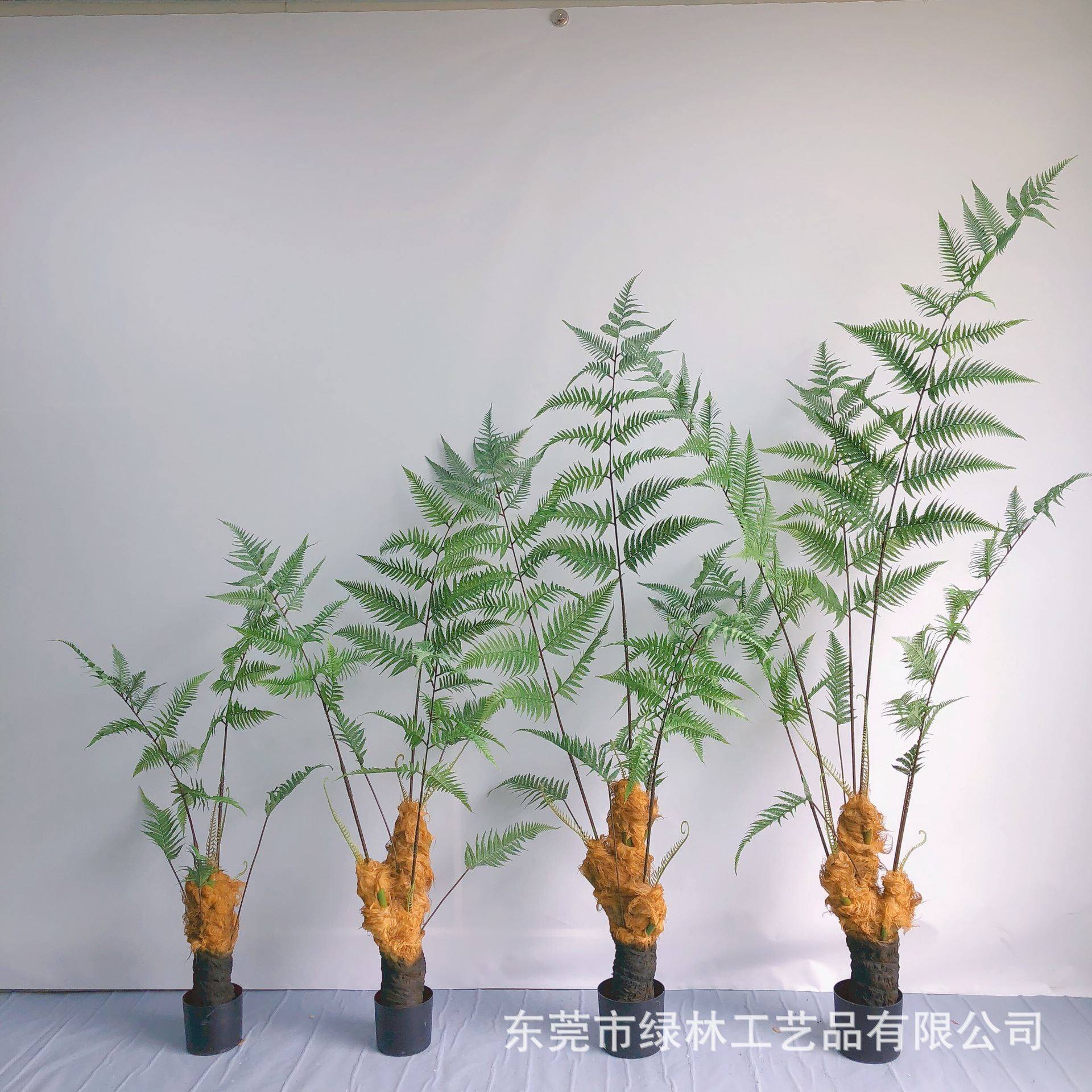 马尾蕨金丝猴蕨猴头蕨狗仿真蕨树绿植家居室内植物盆栽景观装饰