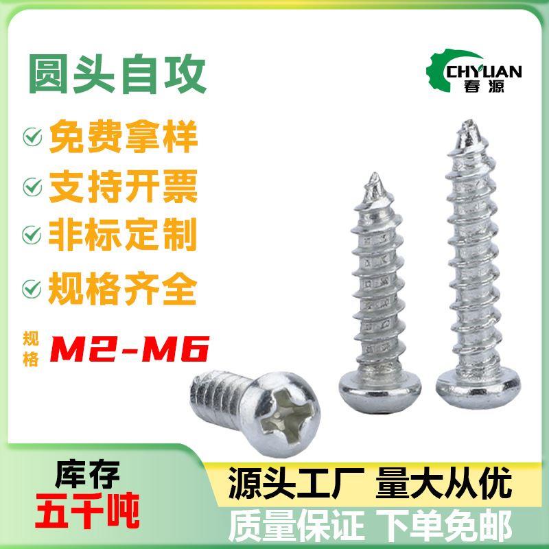 PA镀锌圆头十字自攻螺丝盘头自攻螺丝钉M2/M3/M4/M5/微型小螺丝钉