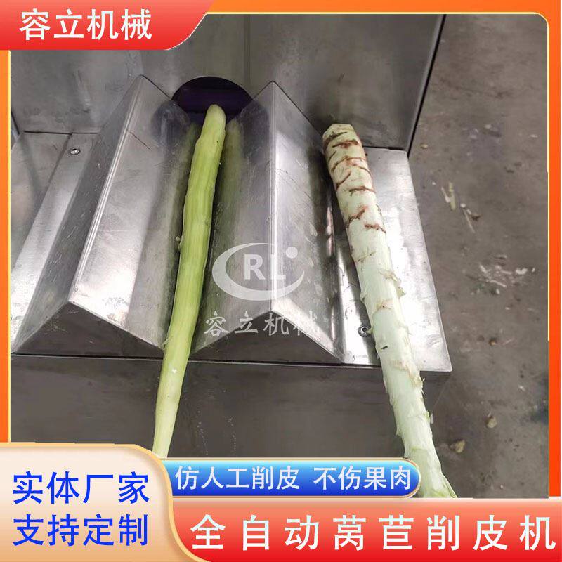 全自动莴笋削皮机 不锈钢贡菜萝卜去皮机 商用牛蒡削皮机