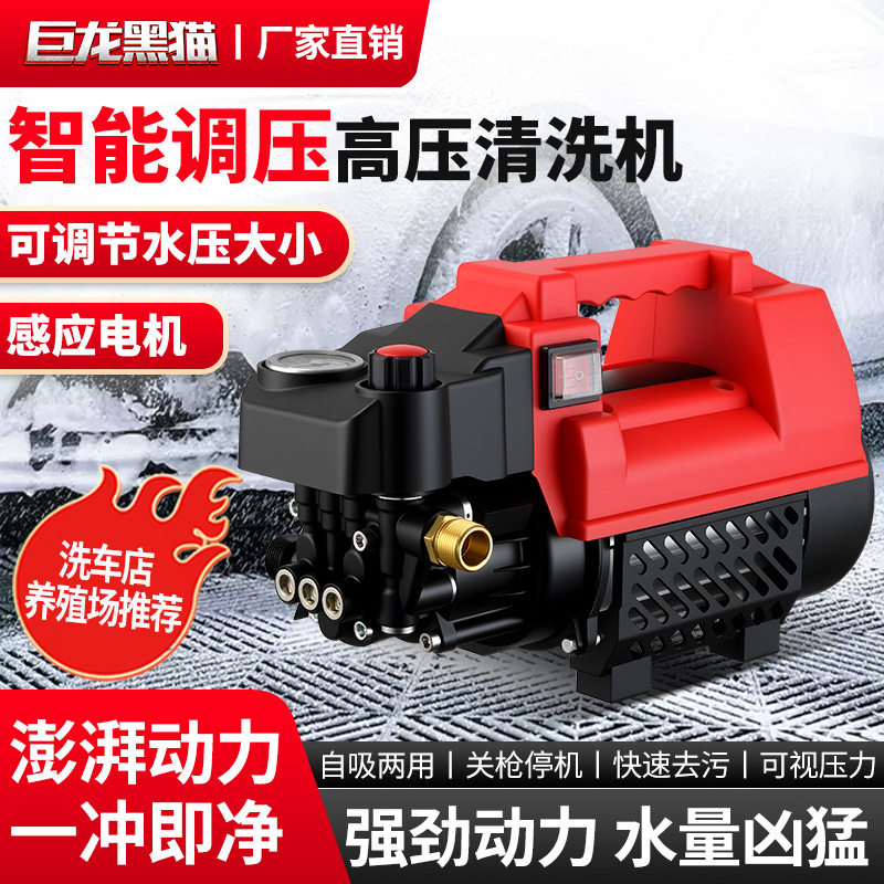洗车机高压水枪家用220V