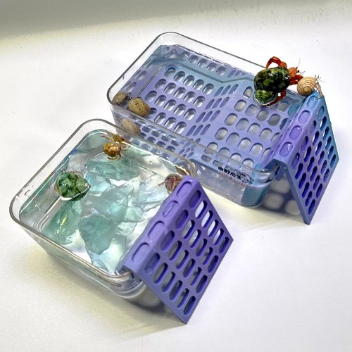 由野后生寄居蟹3D打印爬梯泡澡盆